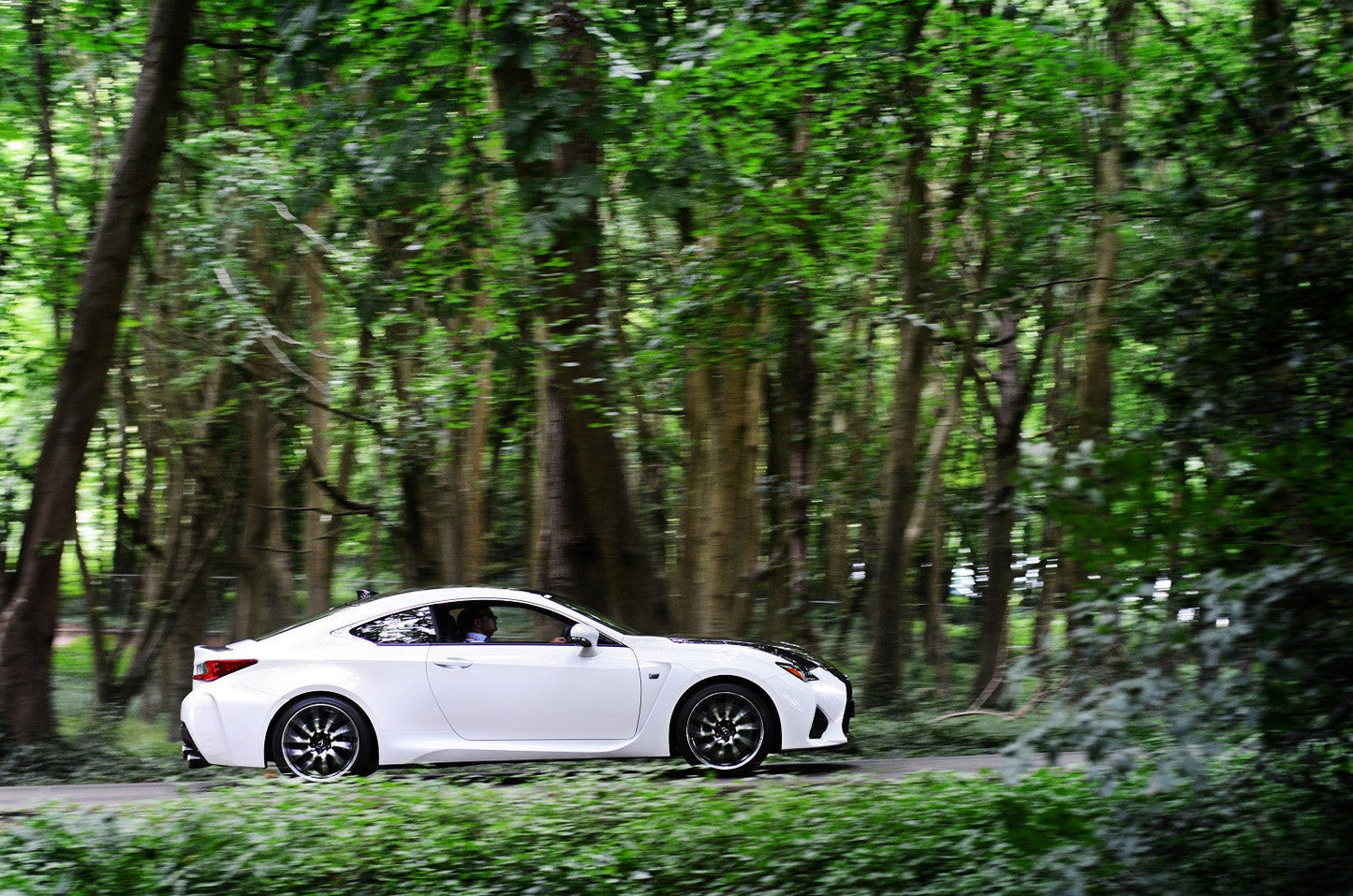 QuickSilver Lexus RC F Sport Rear sections
